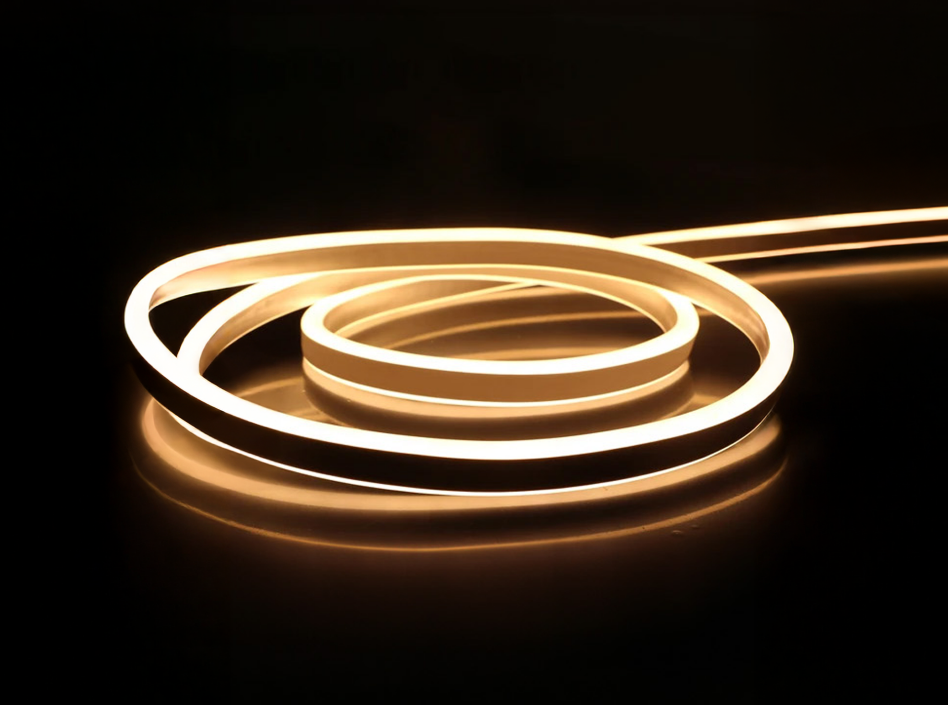 12V NEON GÜNIŞIĞI  LED -50M