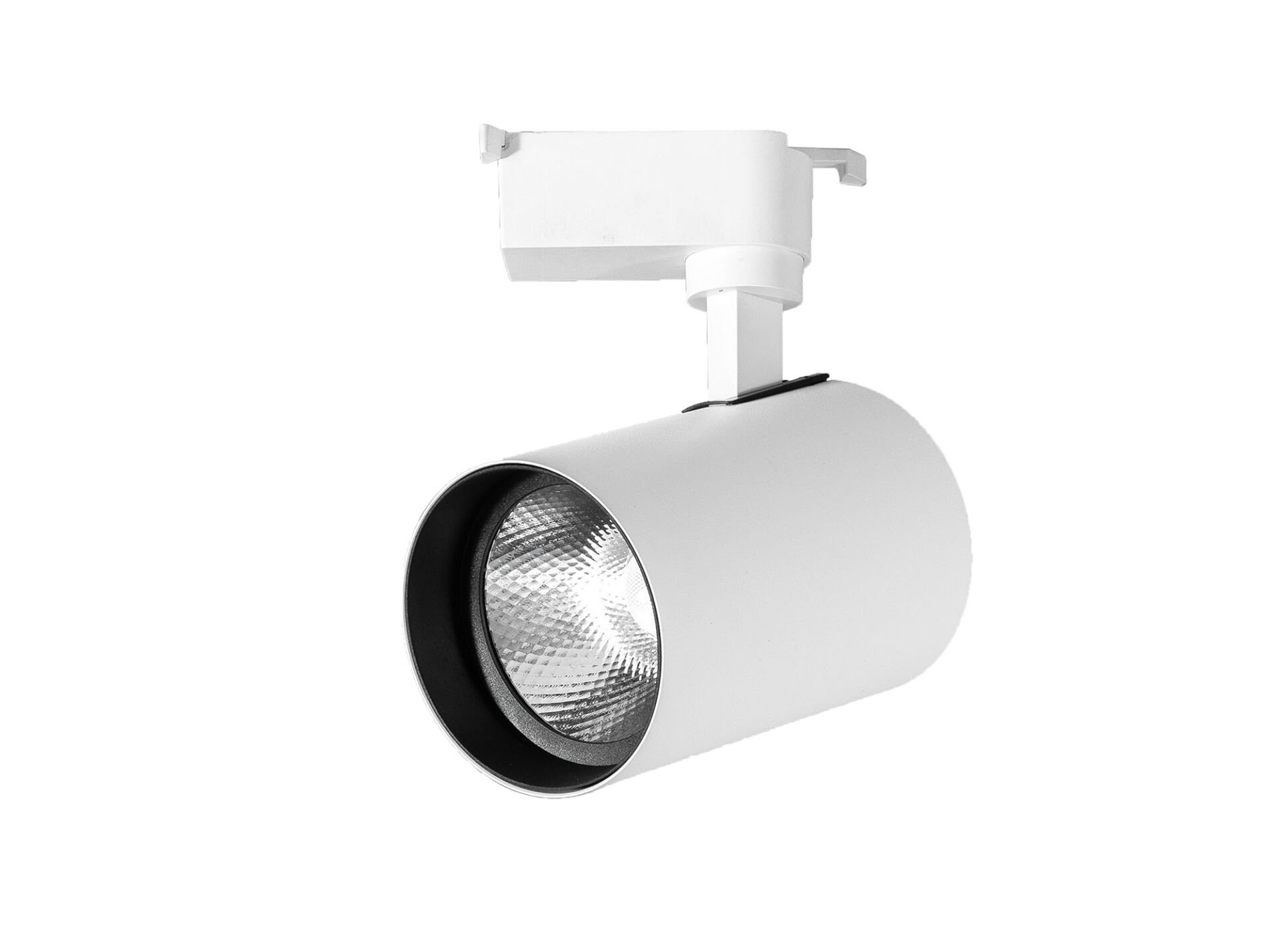 30W BEYAZ KASA RAY SPOT 4000K - PARİS